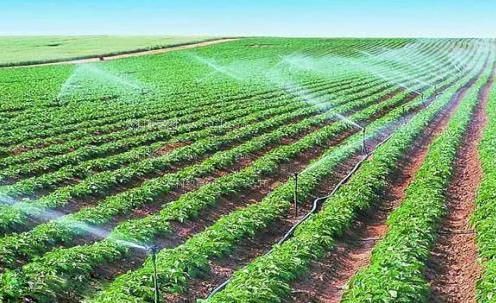 白虎视频污农田高 效节水灌溉